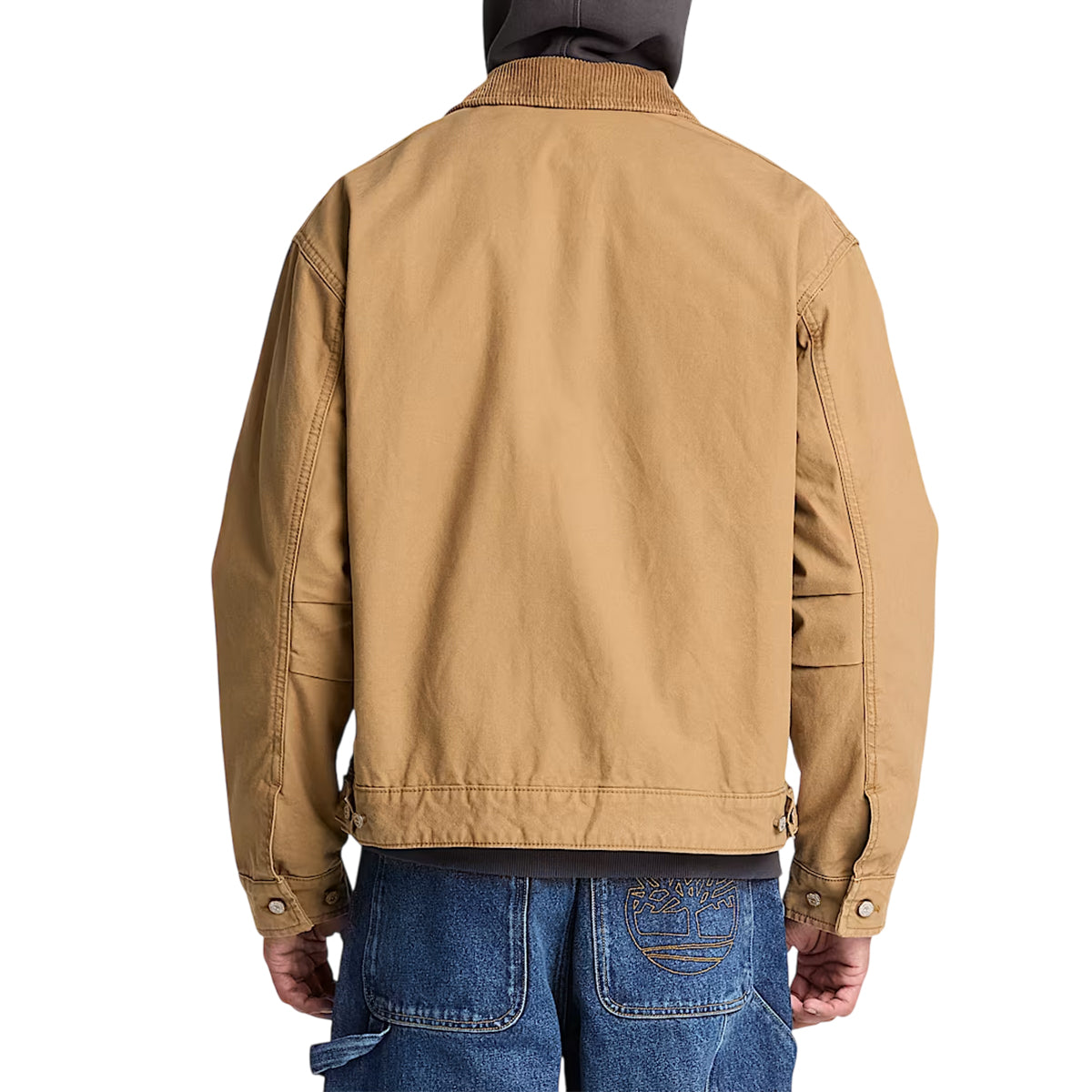 Veste en toile Homme Timberland STRAFFORD