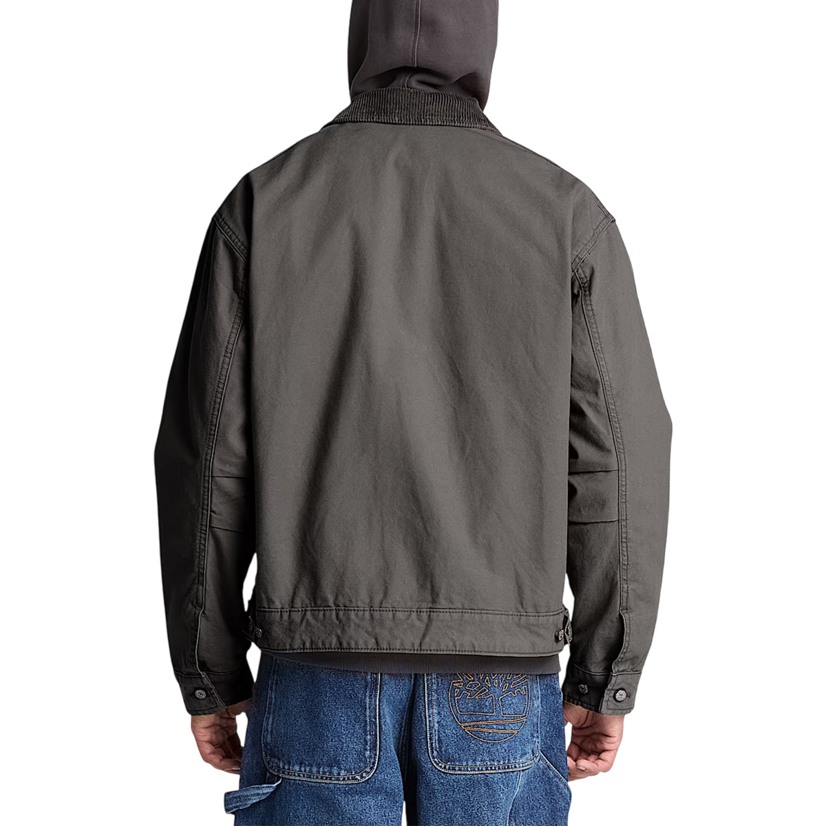 Veste en toile Homme Timberland STRAFFORD