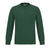 Vert foncé