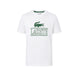 Tee-shirt Homme Lacoste